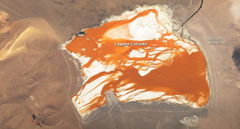 Las aguas de color marrón rojizo en el delta del río Betsiboka, en Madagascar. Foto: NASA