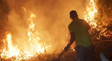 Incendios forestales en Bolivia. Foto: EFE