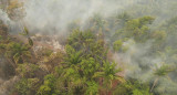 Incendios forestales en Bolivia. Foto: EFE