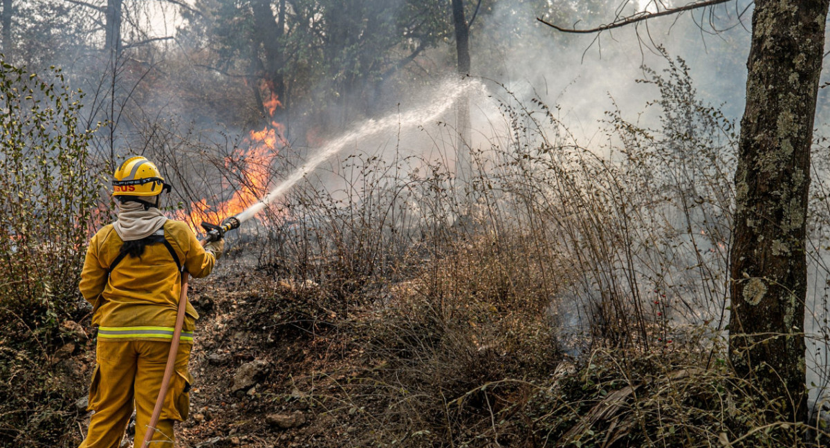 Incendios forestales en Córdoba. Foto: NA.