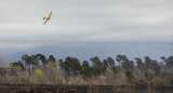 Incendios forestales en Córdoba. Foto: NA.