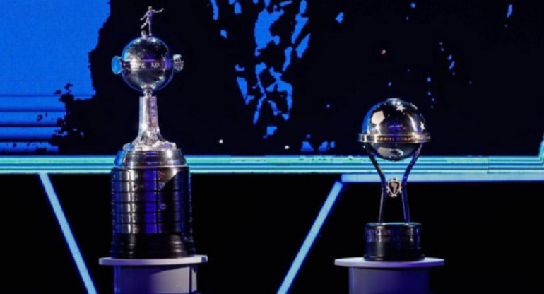 Los trofeos de la Copa Libertadores y la Sudamericana. Foto: NA.
