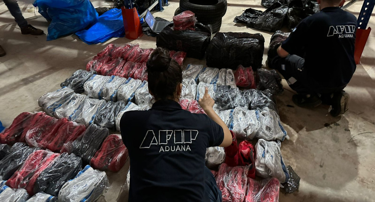 Aduana secuestró mercadería valuada en $47 millones. Foto: AFIP