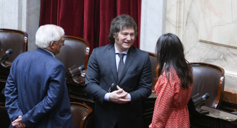 Javier Milei en la Asamblea Legislativa en el Congreso. Foto: NA.