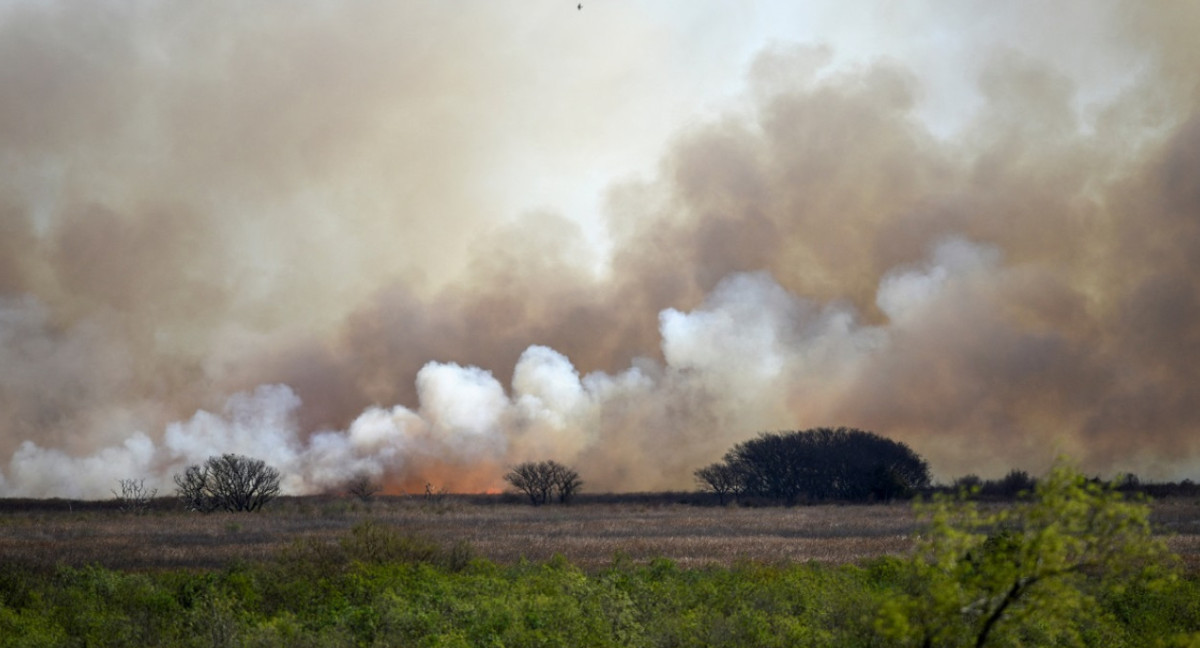 Incendios en Entre Ríos. Foto: NA.