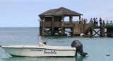 Ataque de tiburón mata a turista en las Bahamas. Foto: Reuters.