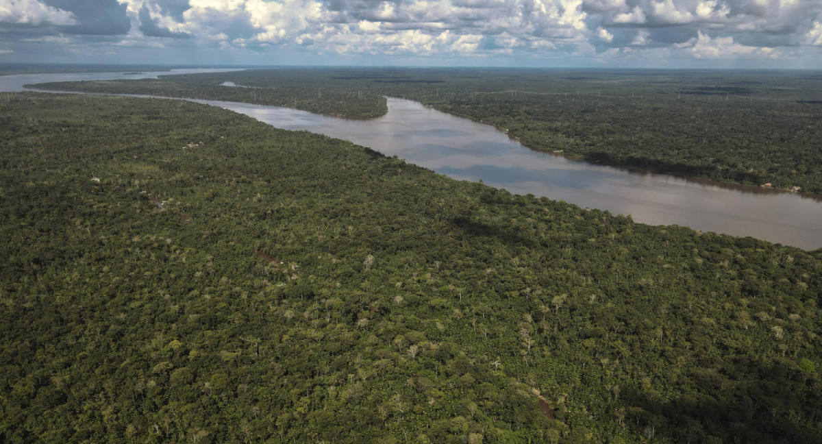 Zona de la Floresta Amazónica, en el estado de Pará (Brasil). Foto: EFE.