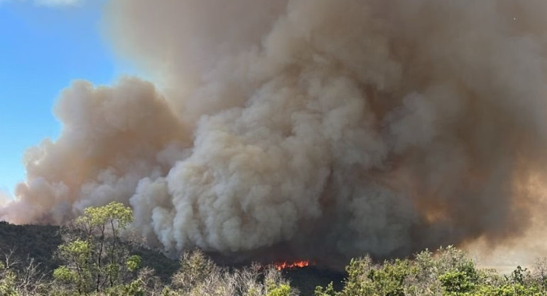 Incendio forestal en sector en Pintue y Aculeo en Chile. Foto: Twitter @bomberosdechile