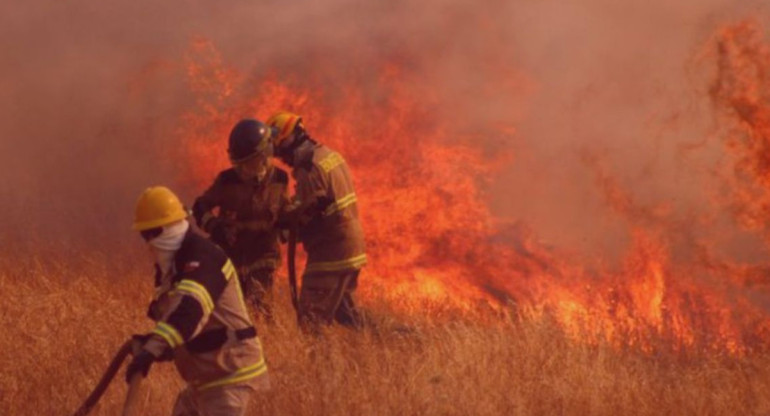 Incendios forestales en Chile. Foto: X/ @copano