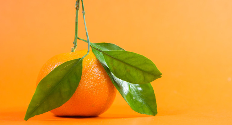 El superalimento que tiene diez veces más vitamina C que la naranja. Foto: Unsplash