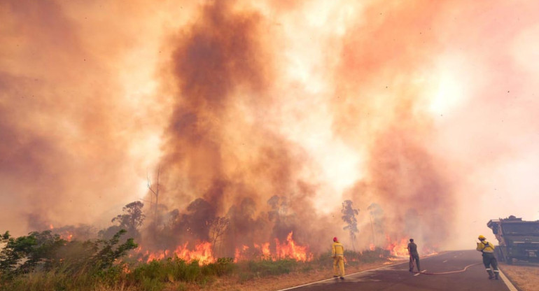 Incendios forestales. Foto: Télam