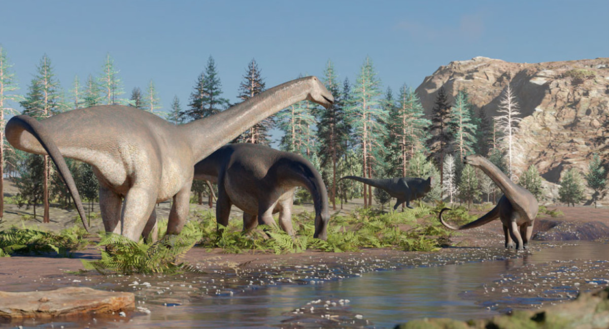 Nuevo hallazgo de especie de dinosaurio. Foto: Conicet