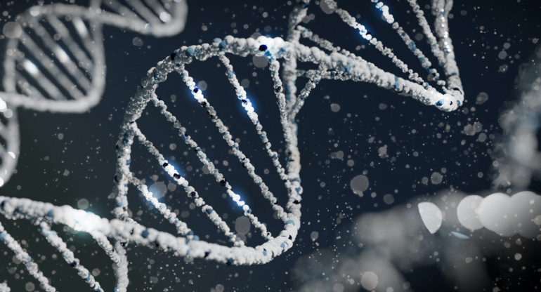 Genes, genética, ciencia. Foto: Unsplash