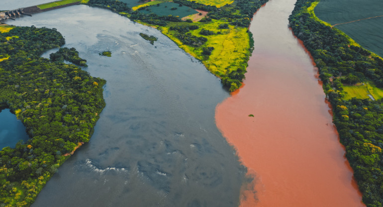 Río Amazonas. Foto: Pexels