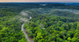 Río Amazonas. Foto: Pexels