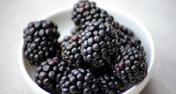 Moras. Foto Unsplash.