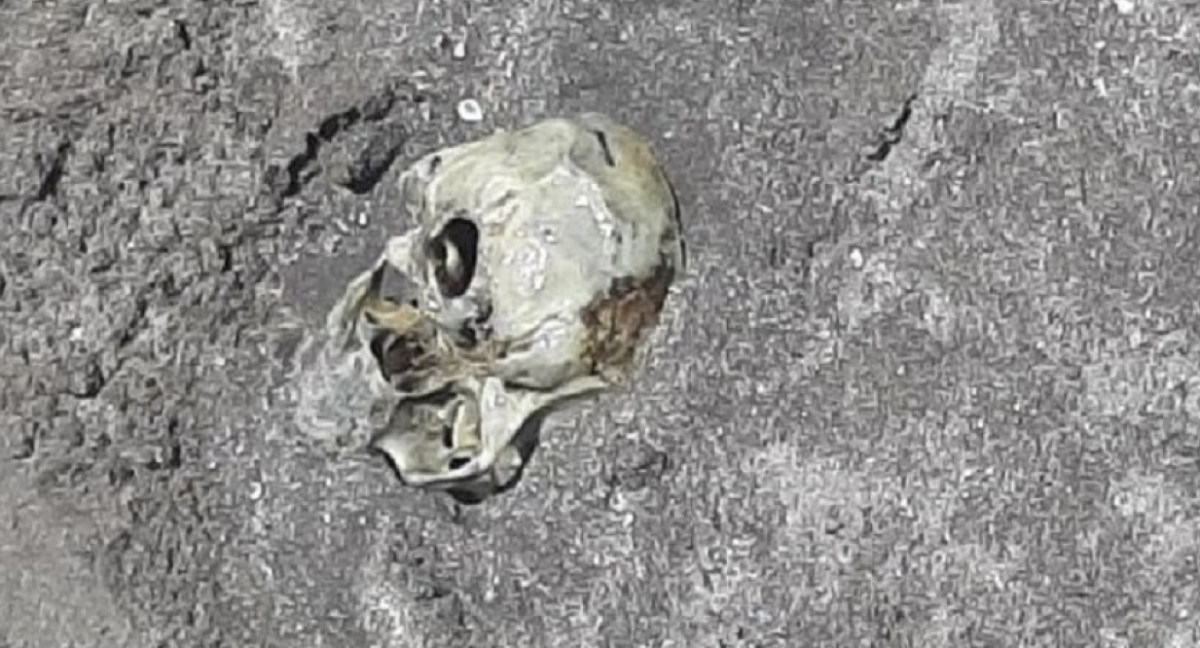 Cráneo humano enterrado en una de las playas de Mar del Plata. NA