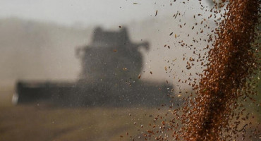 Cosecha de trigo. Foto: Reuters