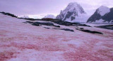 Glaciares. Nieve de Sandía. Foto: X