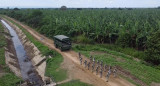 Patrullaje en la frontera entre Perú y Ecuador. Foto: EFE