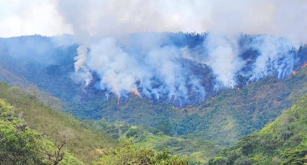 Incendios forestales en Mogotes, Colombia. Foto: X @DNBomberosCol