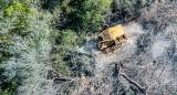 Deforestación en el norte de Argentina. Foto: Gentileza Greenpeace.