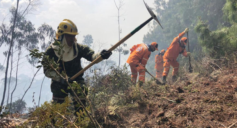 Riesgos de incendios forestales en Colombia debido al fenómeno de El Niño. Foto: EFE.