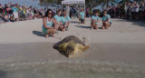 Fue rescatada tras quedar enredada en una boya trampa para langostas. Foto: captura video Reuters.