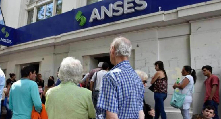 ANSES. Foto: NA.