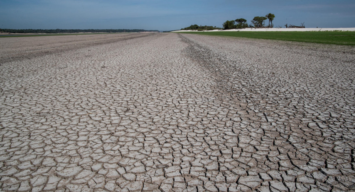 La crisis climática fue la principal impulsora de la sequía en la Amazonía en 2023. EFE