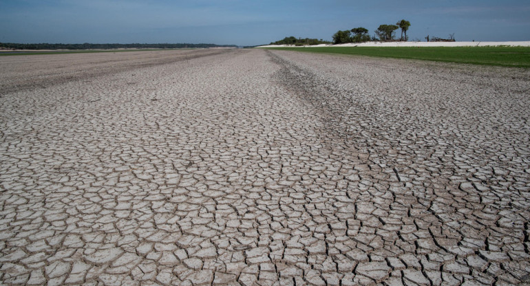 La crisis climática fue la principal impulsora de la sequía en la Amazonía en 2023. EFE