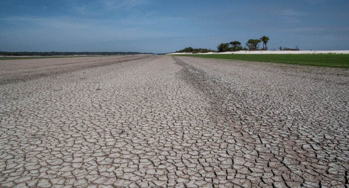La crisis climática fue la principal impulsora de la sequía en la Amazonía en 2023. EFE