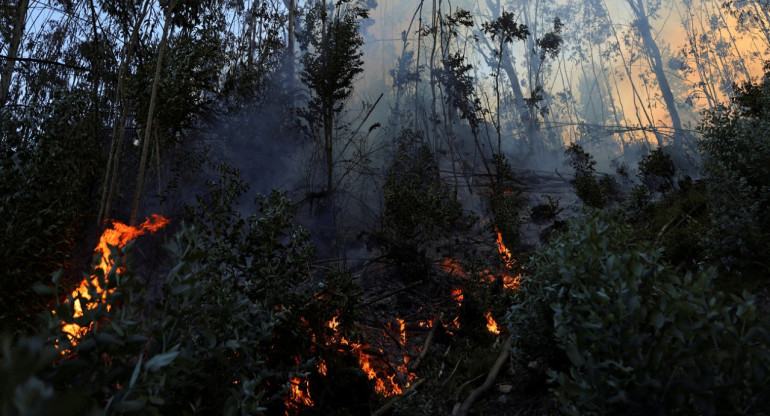 Incendios forestales Colombia. Foto: Reuters