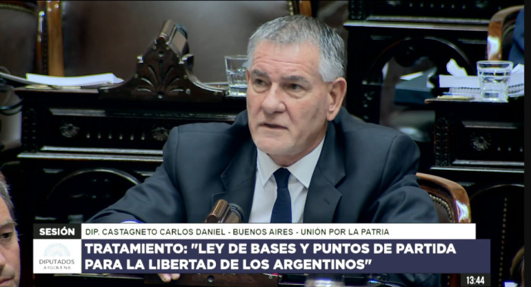 Carlos Castagneto en el debate de la Ley Ómnibus. Foto: Captura de video.