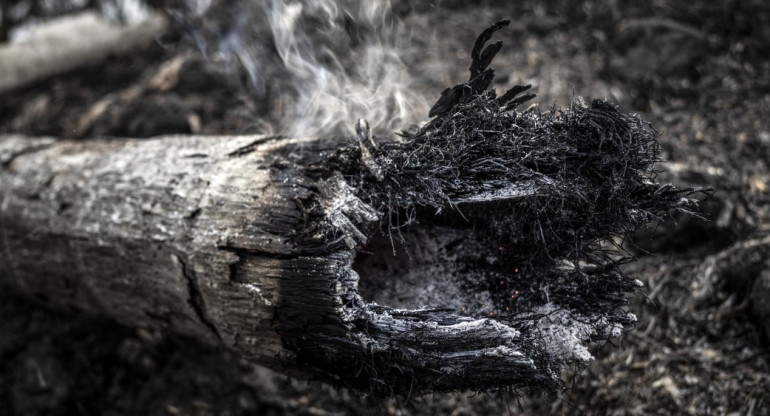 Incendios forestales en la Amazonía. Foto: EFE