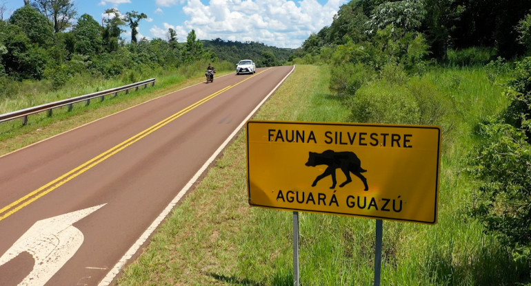 Cartel de señalización de fauna silvestre en Misiones. Foto: Red Yaguareté.