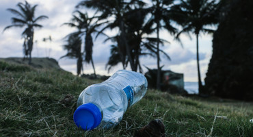 Plásticos de un solo uso. Foto: Unsplash