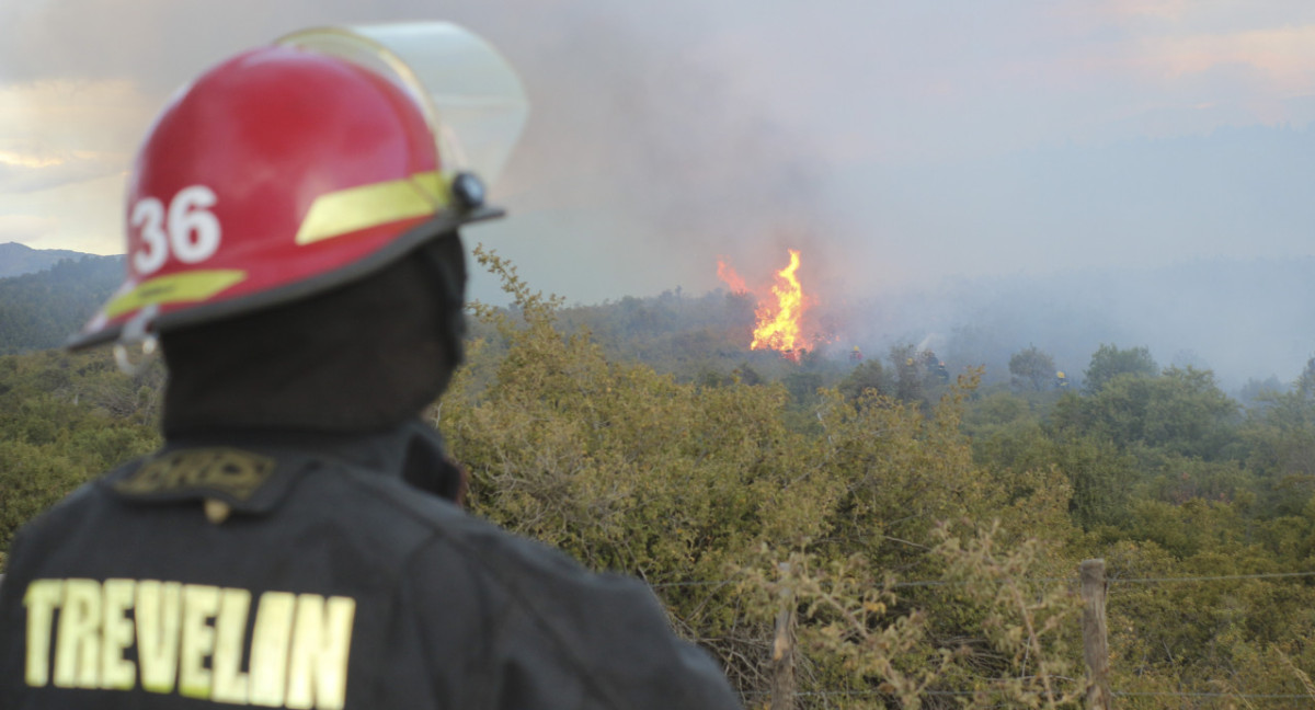 Incendio en el Parque Nacional Los Alerces. Foto: NA