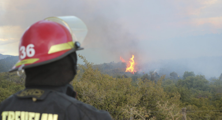 Incendio en el Parque Nacional Los Alerces. Foto: NA