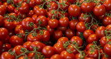Tomates. Foto: Pixabay