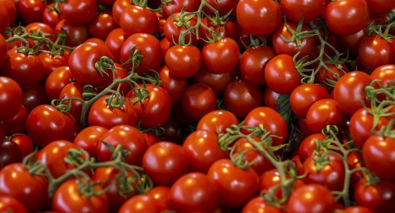 Tomates. Foto: Pixabay