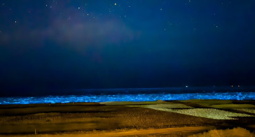 El mar se tiñó de celeste fluorescente en Uruguay. Foto X.