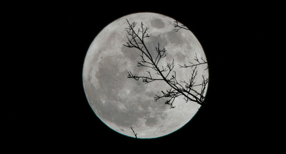 Luna, NASA, cuerpo celeste. Foto: Unsplash