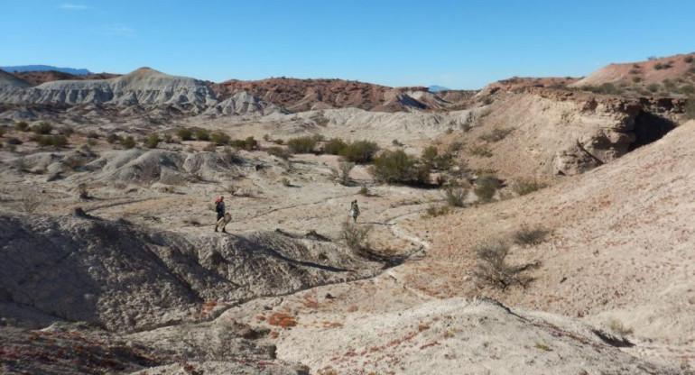 Parque Nacional Talampaya, lugar donde se encontraron los restos fósiles. Foto: Télam.