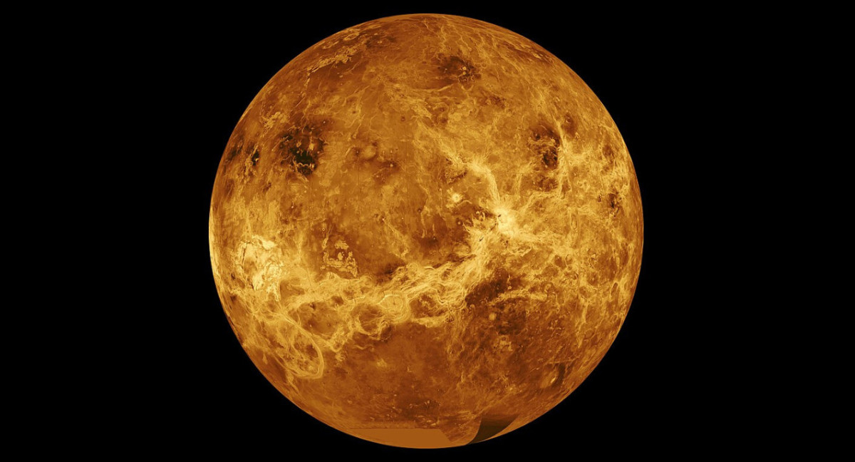 Second Earth: What Science Could Life Look Like on Venus?