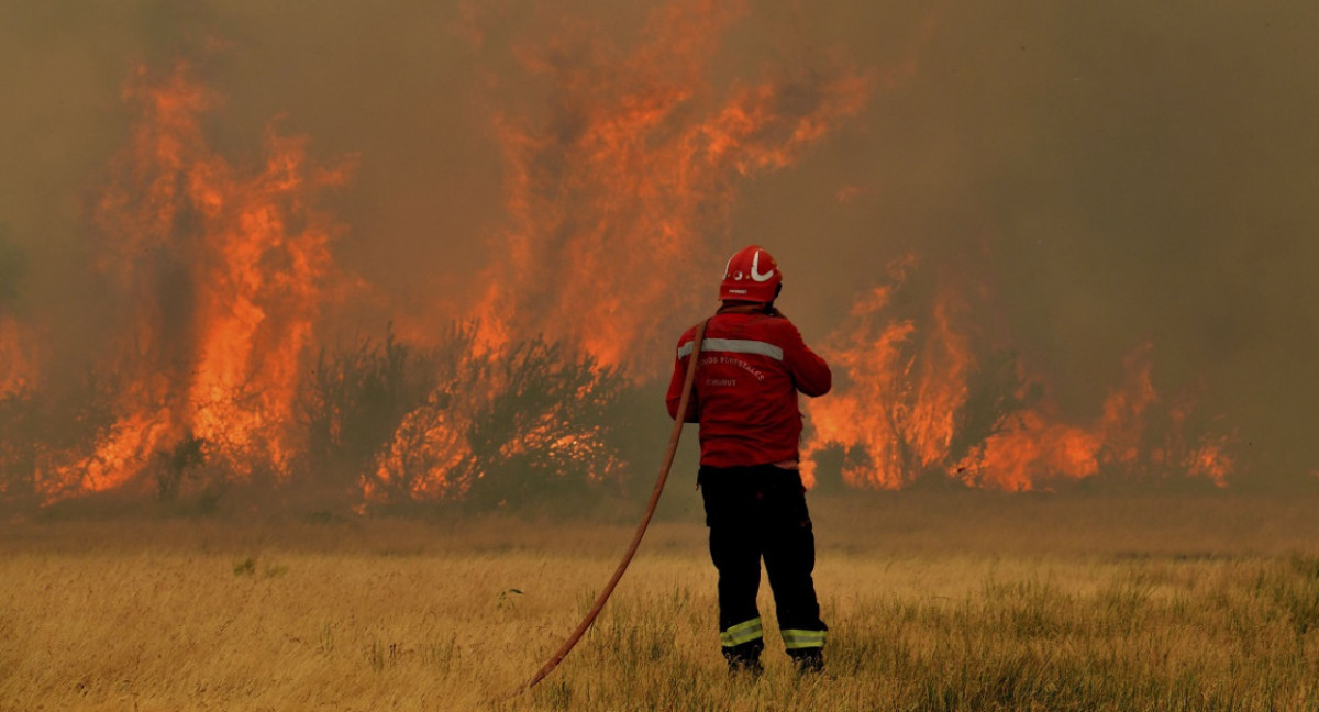 Incendio en el Parque Nacional Los Alerces. Foto: Télam.