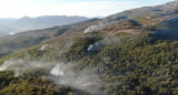 Incendio en el Parque Nacional Los Alerces. Foto: Télam.