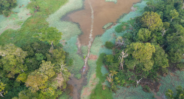 La mitad de la Amazonía puede desaparecer en 2050 y alterar el clima de toda la Tierra. Foto EFE.