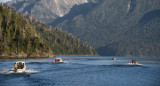 Incendio forestal en el Parque Nacional Nahuel Huapi. Foto: Télam.