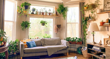 Plantas, hogar, casa. Foto Unsplash.